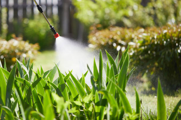 24/7 Emergency Fumigation Services experts in Hughson, CA