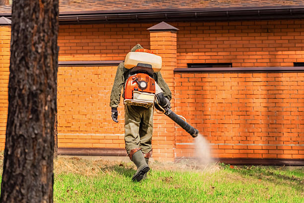 Top rated local Fumigation Services specialists in Hughson, CA